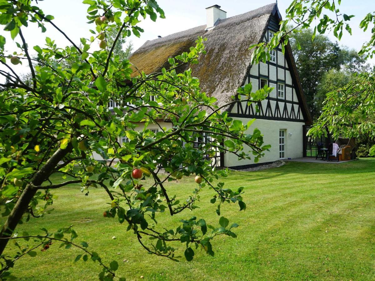 Haus Bela Lejlighed Nonnevitz Eksteriør billede